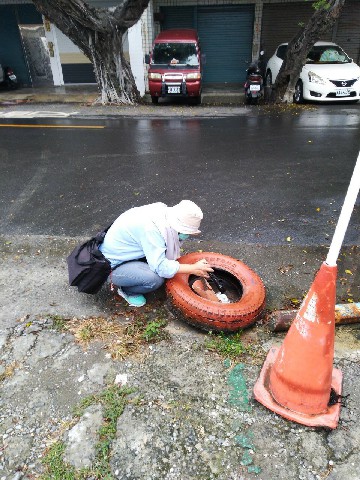 閃電颱風外圍環流大雨過後高市府防疫團隊啟動雨後48小時重要列管高風險場域複查工作