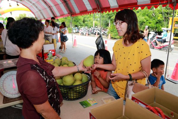 「2018麻豆文旦產業文化活動」登場