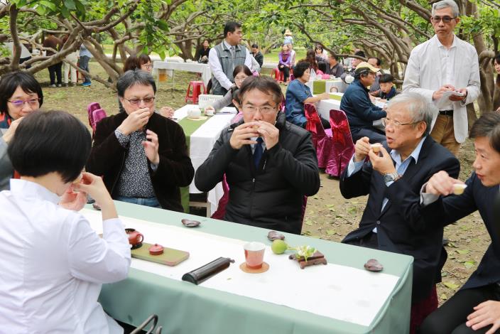 柚花飄香的季節  市長邀您到麻豆賞花品茗