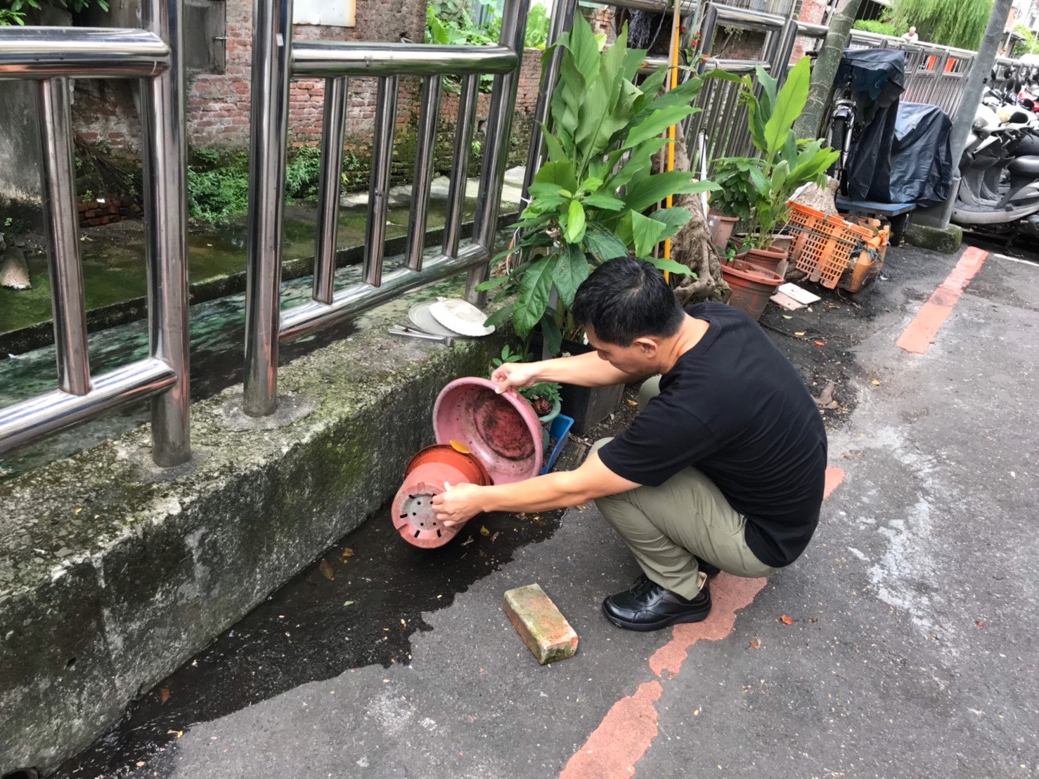 新增1例本土屈公病例   與國強嶺及周邊環境有關