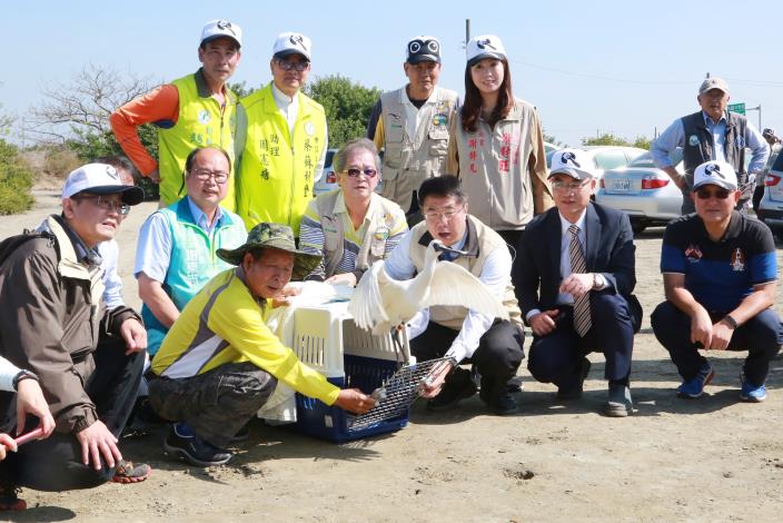 市長出席學甲濕地黑面琵鷺野放活動