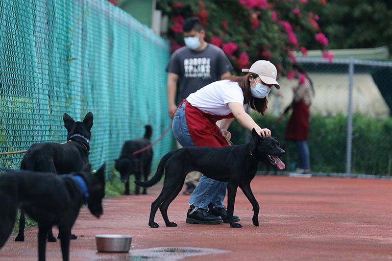 新北毛寶貝生命教育園區啟用　侯友宜籲尊重生命、不棄養