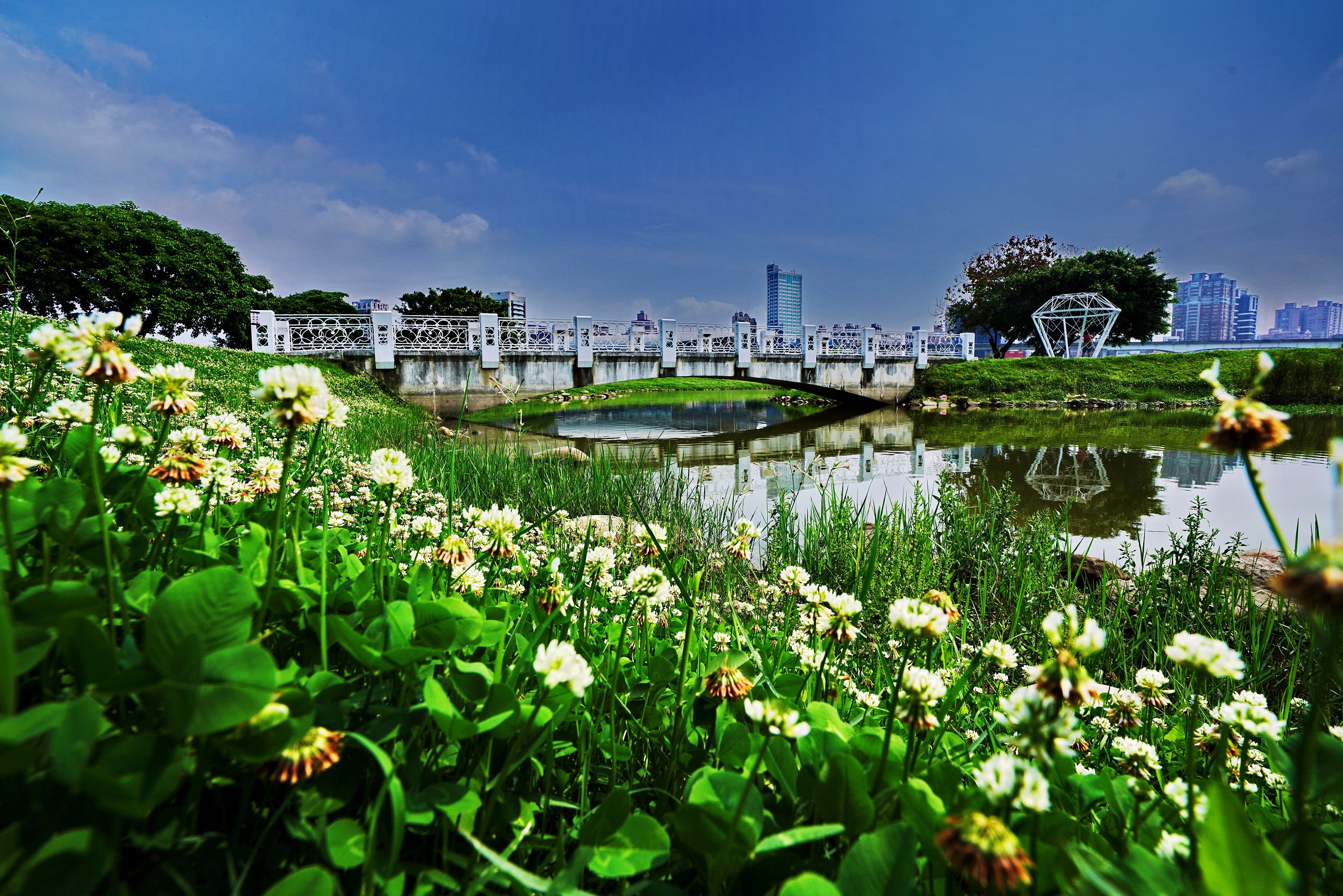 新北大都會公園花海   浪漫雪景盡現眼前