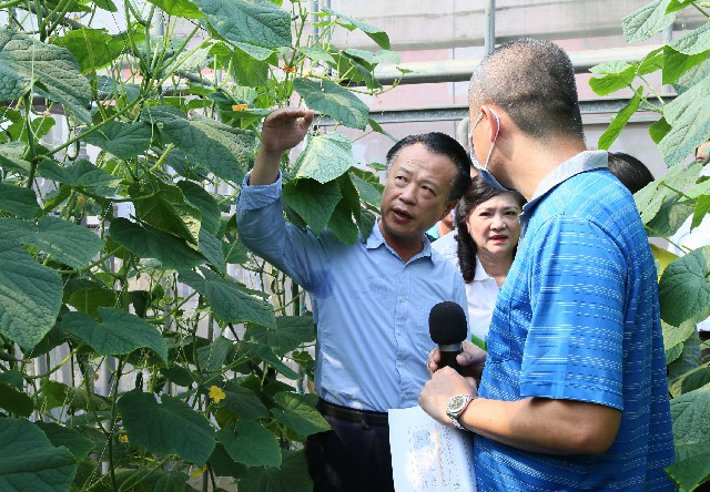 嘉義縣智能肥水栽培團榮獲聯發科「智在家鄉」競賽百萬首獎