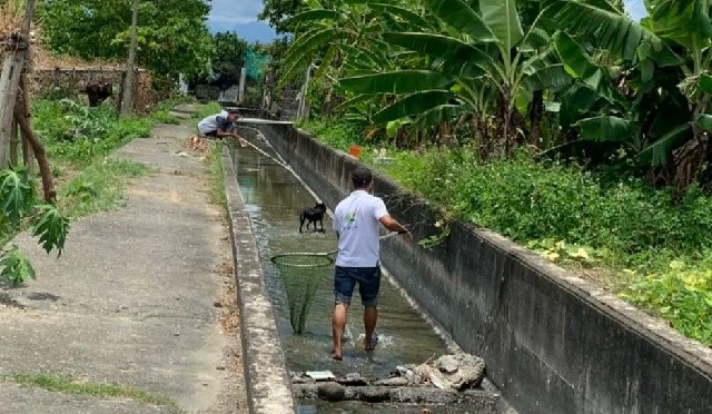 嘉義縣動物緊急救援春節不打烊