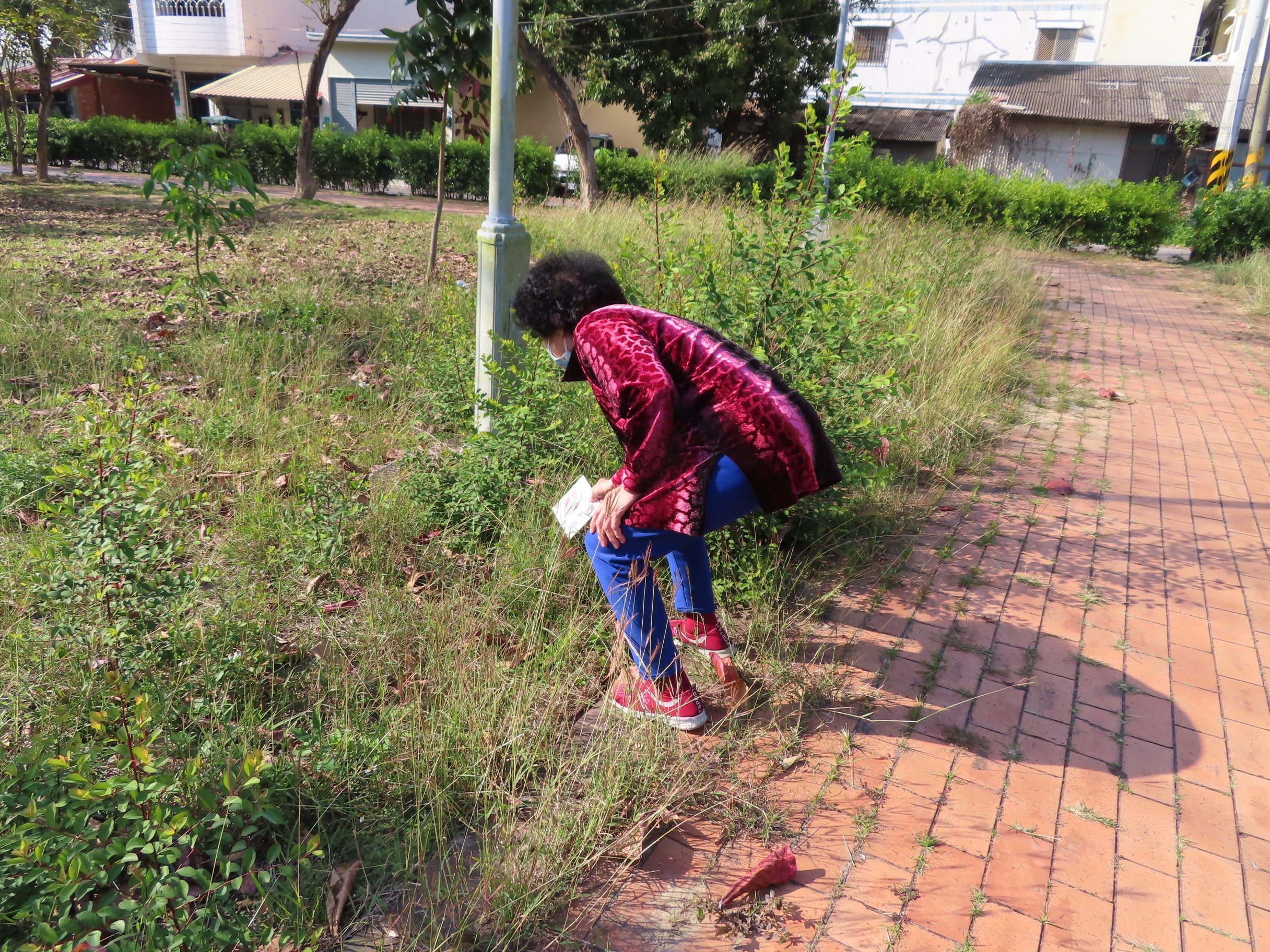 「健」康一把罩、食物帶著「走」尋食記