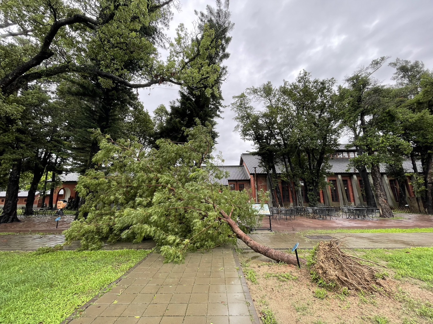 杜蘇芮肆虐  國定古蹟五妃廟建物受損