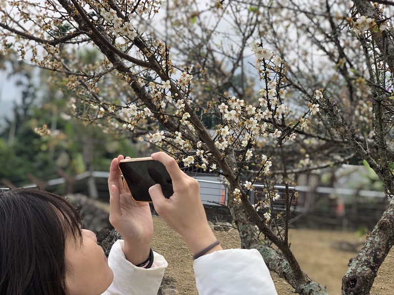 梅嶺神秘氣場露營服務中心啟用！