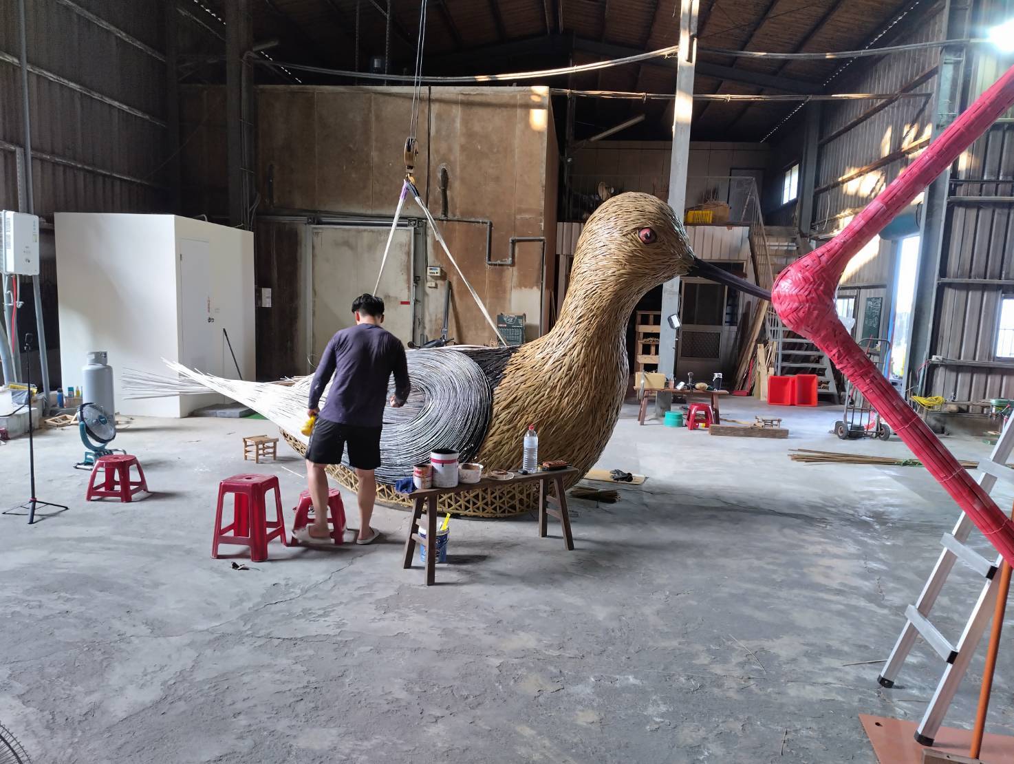 高蹺鴴現蹤官田大隆田