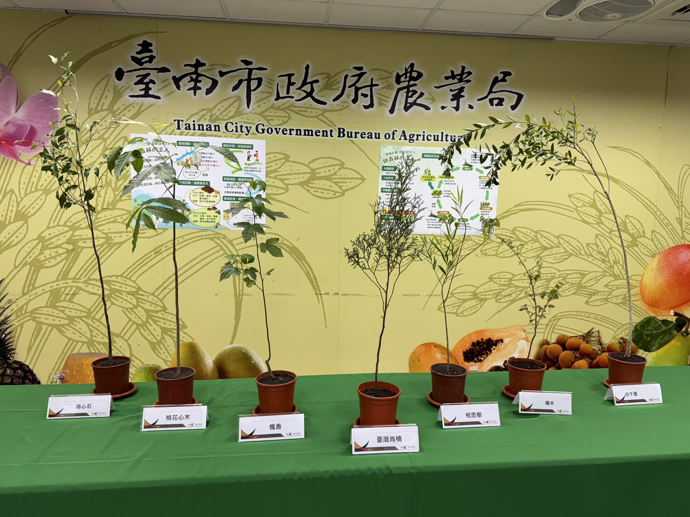 臺南市啟動「獎勵造林2.0」計畫 打造永續綠化新時代