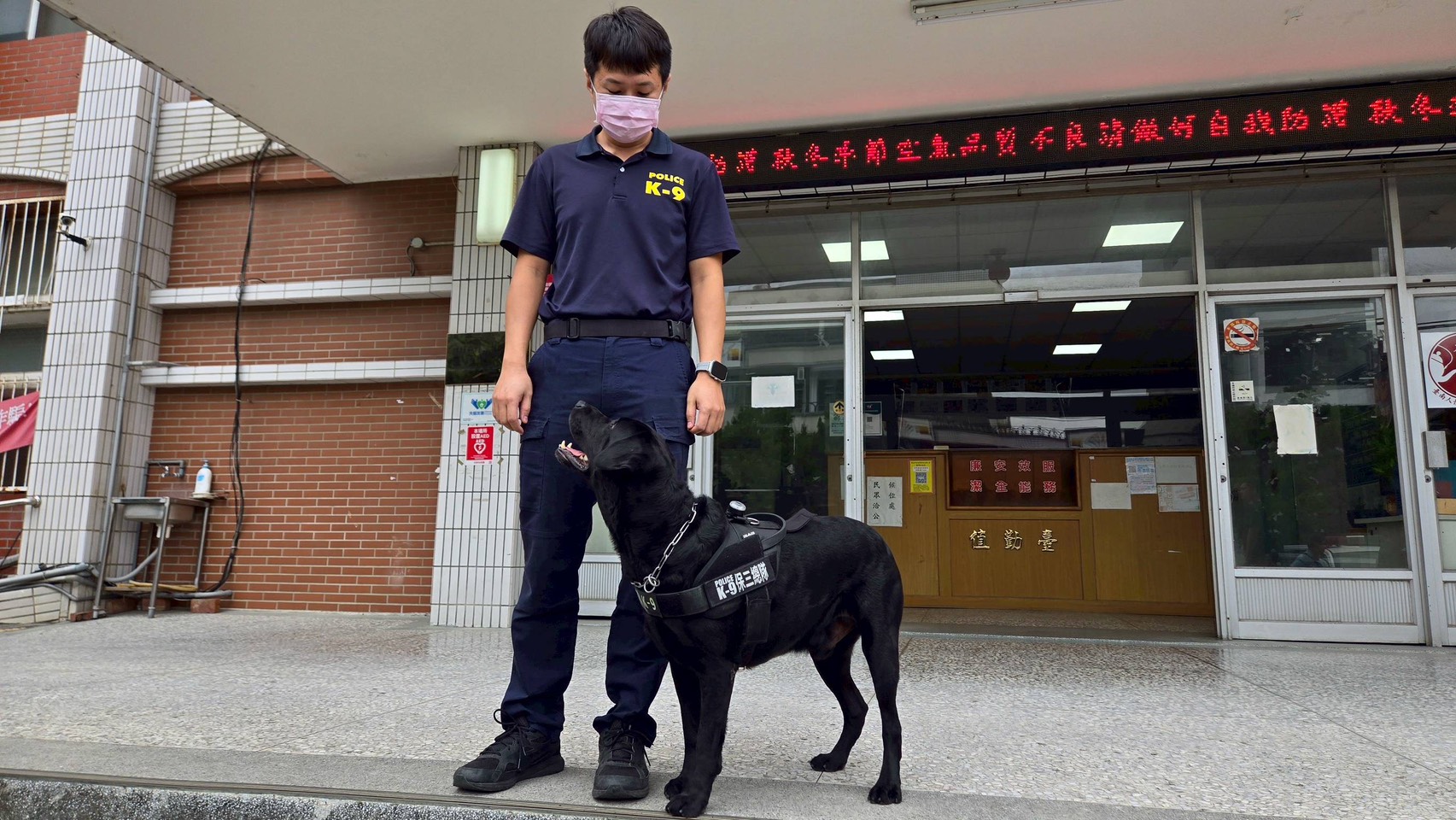 超萌緝毒犬立功   南市少年隊破獲毒品大盤
