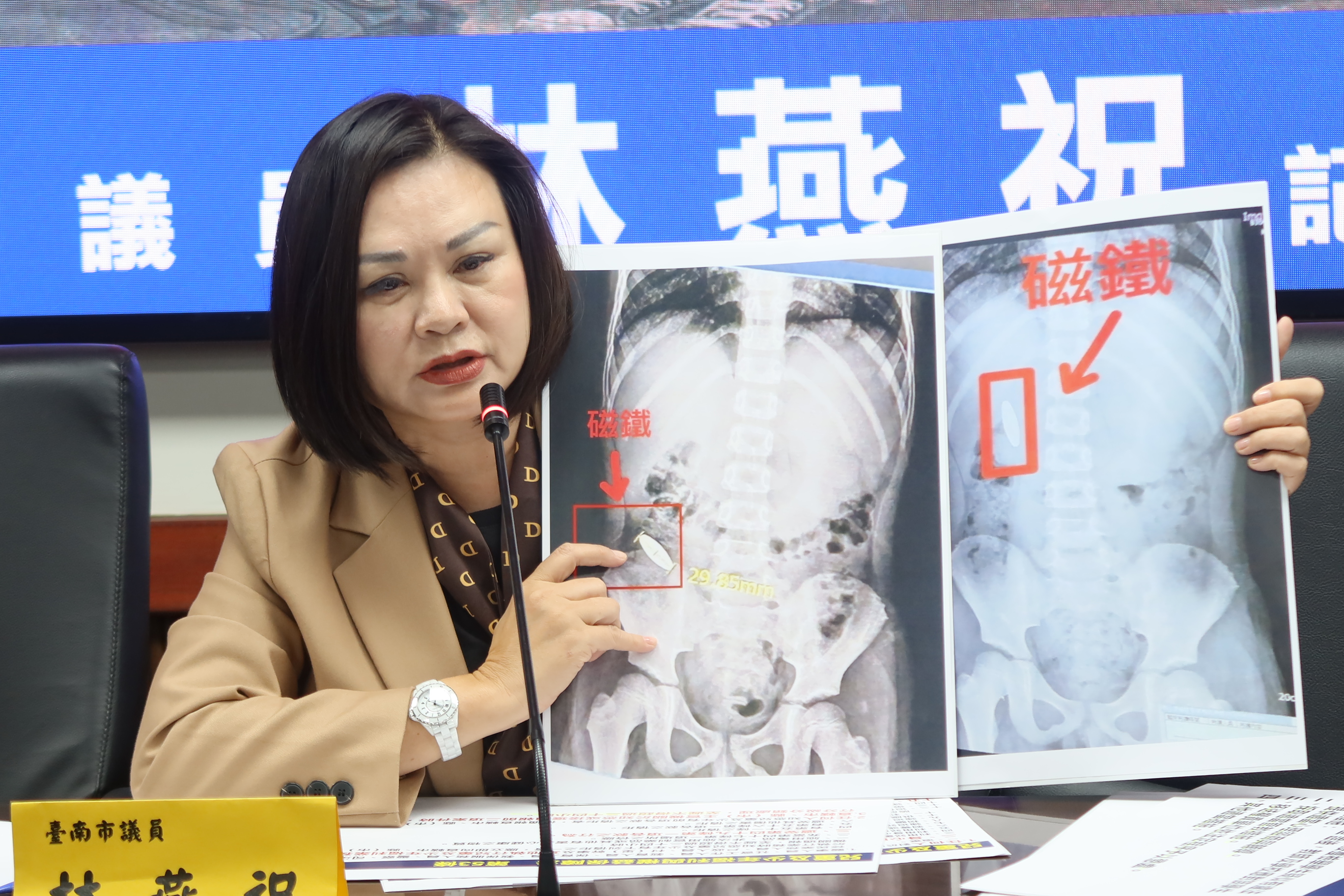 霸凌再現   南市議員林燕祝認為局處消極以對縱容霸凌