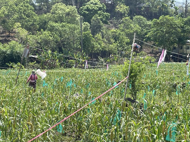 茶山「天神取火」