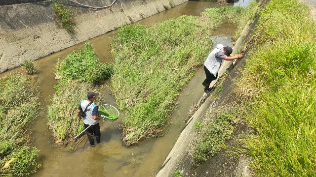 嘉義縣動物緊急救援春節不打烊